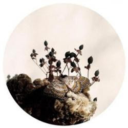 Ben Buitendijk - Transcended Being EP - Oblique Music