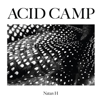Natan H - Atmosphere - Acid Camp Records