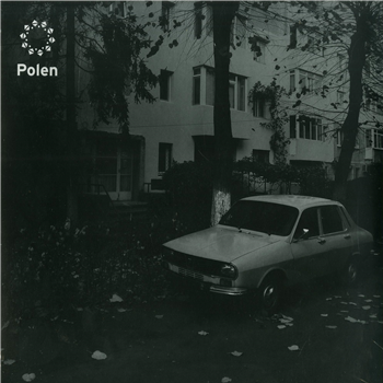 Andu Simion - BRAINHACK EP - Polen Andu Simion - BRAINHACK EP - Polen