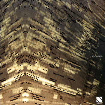 Ion Ludwig - For Real We Are Not For You EP - Toi.Toi Musik Ion Ludwig - For Real We Are Not For You EP - Toi.Toi Musik