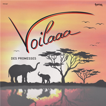 VOILAAA - DES PROMESSES (2 X LP) - Favorite Recordings