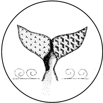 Pascal Benjamin - First Law Of Motion Ep - Norse Projekt Pascal Benjamin - First Law Of Motion Ep - Norse Projekt