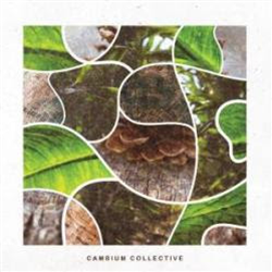 V.I.C.A.R.I - Still Be There - Cambium Collective