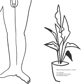Naturist Recordings 000 - Arnaldo - Naturist Recordings Naturist Recordings 000 - Arnaldo - Naturist Recordings