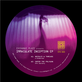 Immaculate Inception EP - Va - Sound Theory