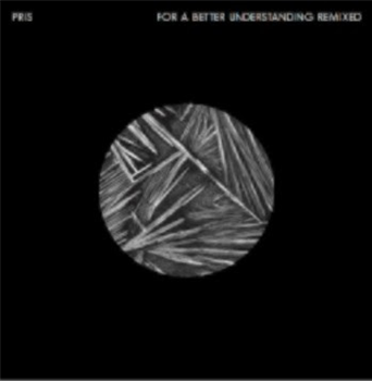 PRIS - FOR A BETTER UNDERSTANDING REMIXES - RESIN