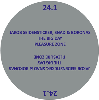 Various Artists - The Big Day - PLEASURE ZONE Various Artists - The Big Day - PLEASURE ZONE