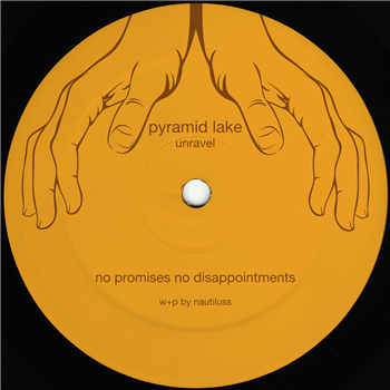 Pyramid Lake - Unravel EP - Tamed Musiq