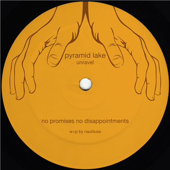 Pyramid Lake - Unravel EP - Tamed Musiq Pyramid Lake - Unravel EP - Tamed Musiq