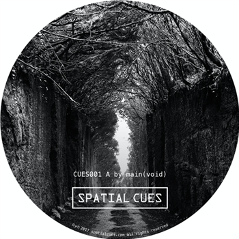 CUES001 - Va - Spatial Cues