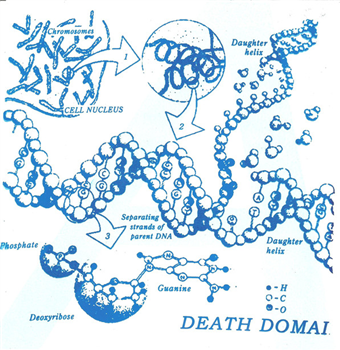 Death Domain – Ethidium Bromide - Dark Entries