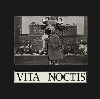 Vita Noctis ?– Against The Rule - Dark Entries