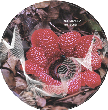 No Signal / Amazonia - VA - Rationalism Records No Signal / Amazonia - VA - Rationalism Records