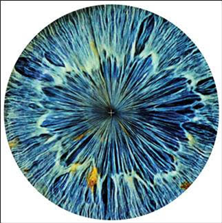 ORGANIC ELEMENTS II EP - Va - SUBOSC ORGANIC ELEMENTS II EP - Va - SUBOSC