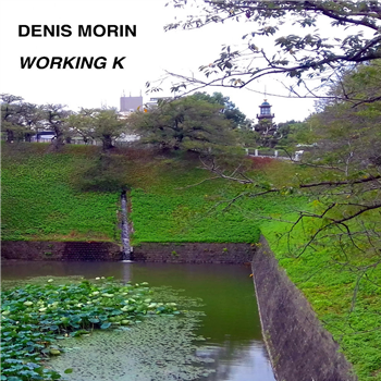 Denis Morin - Working K - Stochastic Releases