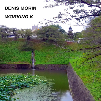 Denis Morin - Working K - Stochastic Releases Denis Morin - Working K - Stochastic Releases