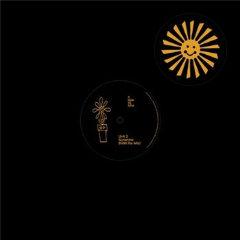 Unit 2 - Sunshine (Kink & Tiger & Woods Remixes) - Running Back