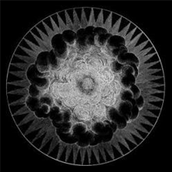 Black Catcher - Attic Music Black Catcher - Attic Music