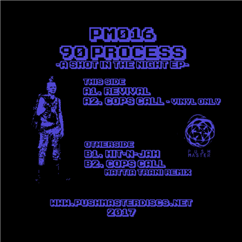 90 PROCESS - A SHOT IN THE NIGHT EP (INCL. MATTIA TRANI REMIX) - PUSHMASTER DISCS