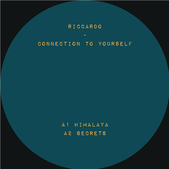 Riccardo - Connection To Yourself - Metropolita