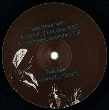 Non Reversible - Convergent Boundary EP - Knotweed Records