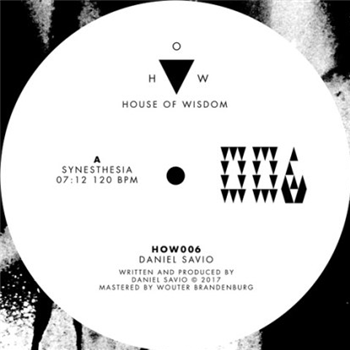Daniel Savio - Synesthesia - House of Wisdom