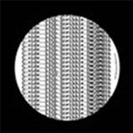 LTGL - SCRIBBLE - TANGRAM RECORDS LTGL - SCRIBBLE - TANGRAM RECORDS
