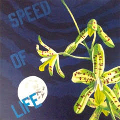 K15 - Speed of Life - 2x12" - NEW WILD OATS