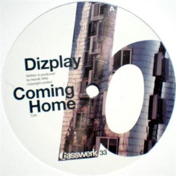 Dizplay / Particular - Basswerk