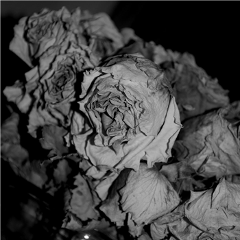 Sciahri - Quiet Witness EP - Opal Tapes Sciahri - Quiet Witness EP - Opal Tapes