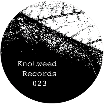 Hydergine - Vibrant Future EP - Knotweed Records