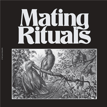 Martin Hayes - Black Pepper EP - MATING RITUALS