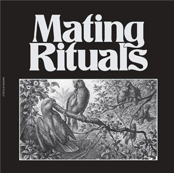 Martin Hayes - Black Pepper EP - MATING RITUALS Martin Hayes - Black Pepper EP - MATING RITUALS