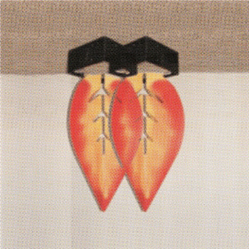 MAX SCHREIBER - VARIATIONS ON MEMORY - Confused Machines