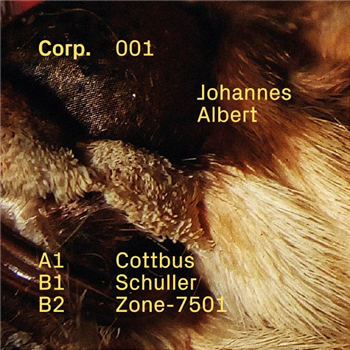 Johannes Albert - Cottbus - Corp