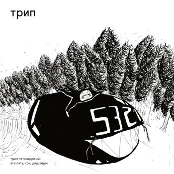 BJARKI - THIS 5321 - TRIP