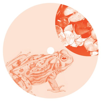 Jay Shepheard - Bullfrogging ( Mark Henning Rmx) - Pets Recording