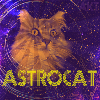 Astrocat EP (Arkist incl Appleblim mix) - Honey Glazed Records