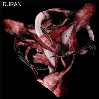 Duran Duran Duran - DURAN (2 X LP) - Power Vacuum