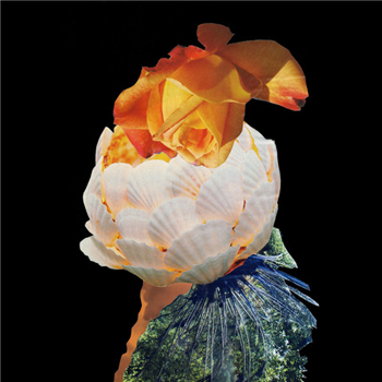 THE PARELS - MINERAL KINGDOM - LAL LAL LAL THE PARELS - MINERAL KINGDOM - LAL LAL LAL