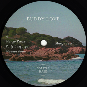 Buddy Love - Mango Peach - Coastal Haze