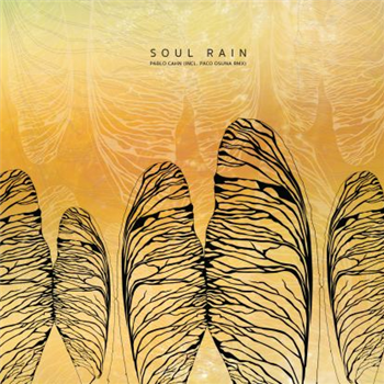 Pablo Cahn - Soul Rain, Paco Osuna Remix - Cadenza