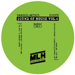 Sound Of House Vol.6 - VA - MLH Records
