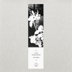 Umwelt - Strange Attractor EP - Falling Ethics Umwelt - Strange Attractor EP - Falling Ethics