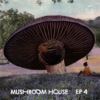 Mushroom House Ep4 - Va - TOY TONICS