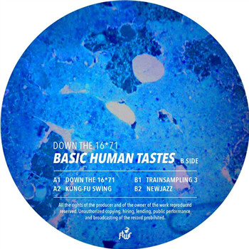 Basic Human Tastes - Down the 16*71 - FTWR Recordings
