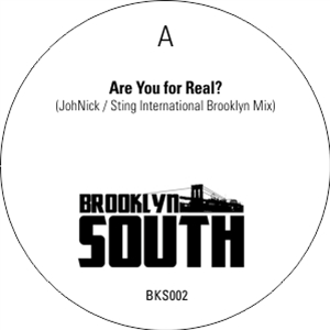 BROOKLYN SOUTH - VOLUME 2 - BROOKLYN SOUTH