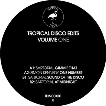 Various Artists - Tropical Disco Edits, Vol. 1 - TROPICAL DISCO RECORDS