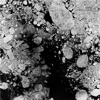 Guavid - Wathorn Wieib EP - Analogical Force Guavid - Wathorn Wieib EP - Analogical Force