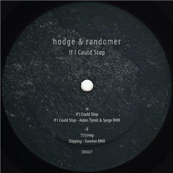 Hodge & Randomer - If I Could Stop - Clone Basement Series
